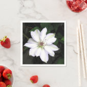 Witte Clematis Bloem Servet (Insitu)