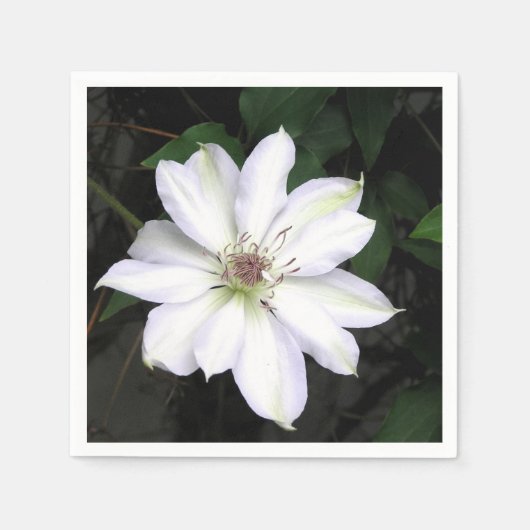 Witte Clematis Bloem Servet (Voorkant)