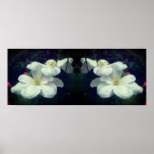 Witte Clematis Flowers Spiegel Abstract Poster (Voorkant)