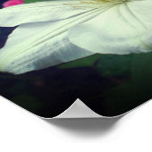 Witte Clematis Flowers Spiegel Abstract Poster (Hoek)
