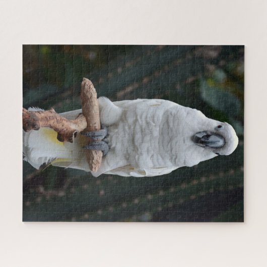 Witte cockatoo legpuzzel (Horizontaal)