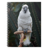 Witte cockatoo notitieboek (Voorkant)