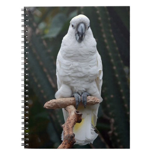 Witte cockatoo notitieboek (Voorkant)