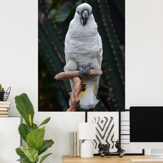 Witte cockatoo poster (Thuiskantoor)