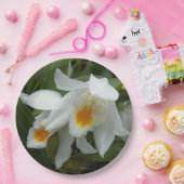 Witte Coelogyne Mooreana Orchids Floral Papieren Bordje (Feest)