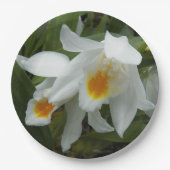 Witte Coelogyne Mooreana Orchids Floral Papieren Bordje (Voorkant)