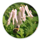 Witte Columbine bloem en broedbijen Keramische Knop (Voorkant)