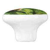 Witte Columbine bloem en broedbijen Keramische Knop (Zijkant)