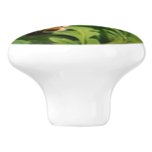 Witte Columbine bloem en broedbijen Keramische Knop (Zijkant)