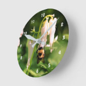 Witte Columbine bloem en broedbijen   Ronde Klok (Hoek)