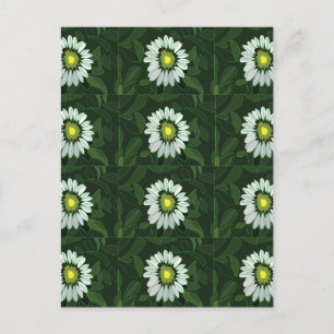 Witte Coneflower bloemmotief Briefkaart
