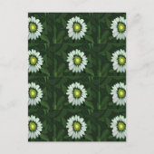 Witte Coneflower bloemmotief Briefkaart (Voorkant)