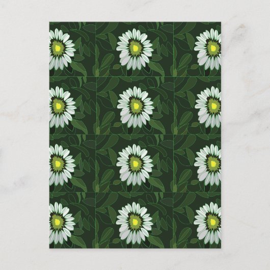 Witte Coneflower bloemmotief Briefkaart (Voorkant)