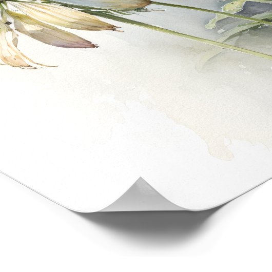 Witte Coneflowers Art Print Poster (Hoek)