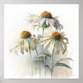 Witte Coneflowers Art Print Poster (Voorkant)