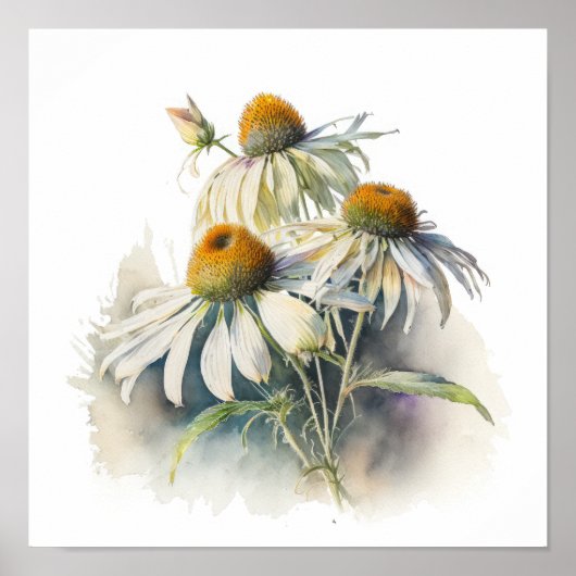 Witte Coneflowers Art Print Poster (Voorkant)