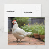 Witte Cornis hen op patio Feestdagenkaart (Voorkant / Achterkant)