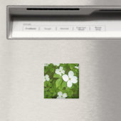 Witte Cornus boom Magneet (Insitu (Vaatwasser))