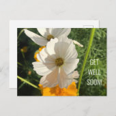 Witte Cosmo-bloem Beterschap Briefkaart (Voorkant / Achterkant)