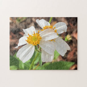 Witte Cosmo Bloemen Tuin Lente Bloemstuk Close-up Legpuzzel