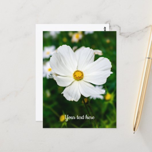 Witte Cosmos Ansichtkaart Briefkaart (Voorkant / Achterkant in situ)