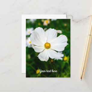 Witte Cosmos Ansichtkaart Briefkaart