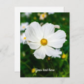 Witte Cosmos Ansichtkaart Briefkaart (Voorkant / Achterkant)