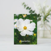 Witte Cosmos Ansichtkaart Briefkaart (Staand voorkant)