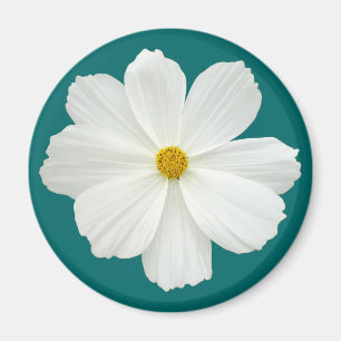 Witte Cosmos Bloem Magneet