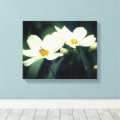 Witte Cosmos Bloemen Met Bij Canvas Afdruk (Insitu (Houten vloer))
