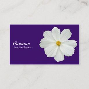 Witte Cosmos - Diep Paars 330066 Visitekaartje