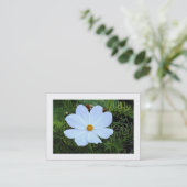 Witte Cosmos (Gegolfd) Visitekaartje (Staand voorkant)