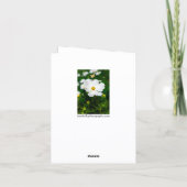 Witte Cosmos Wenskaart Kaart (Achterkant)