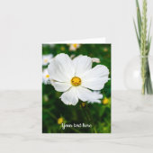 Witte Cosmos Wenskaart Kaart (Voorkant)