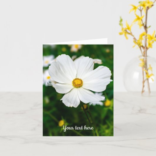 Witte Cosmos Wenskaart Kaart (Gele Bloem)
