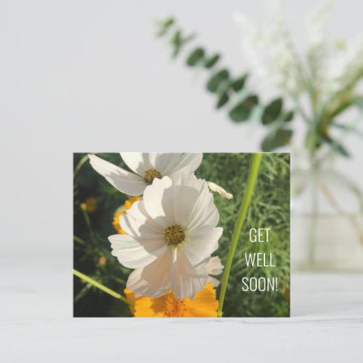 WITTE COSMOSBLOEM BETER BALD BRIEFKAART (Staand voorkant)