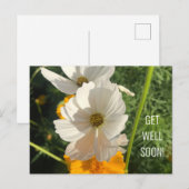 WITTE COSMOSBLOEM BETER BALD SOPRA BRIEFKAART (Voorkant / Achterkant)