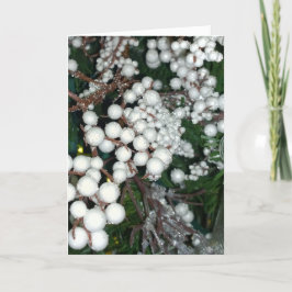Witte Cranberry Christmas Kaart