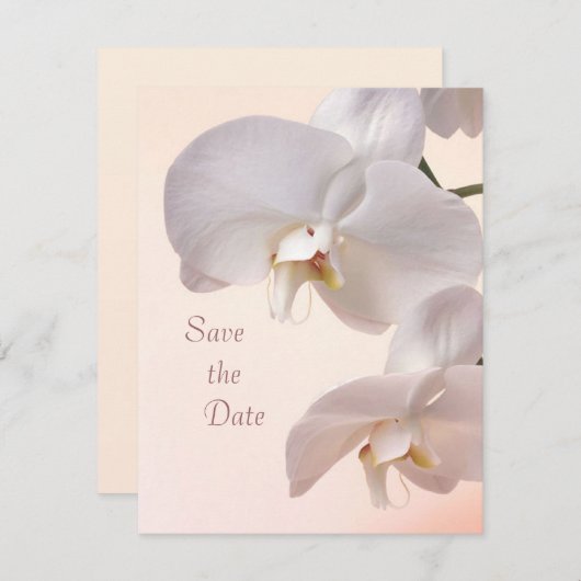 Witte crème orchideeën Save the Date (Voorkant / Achterkant)