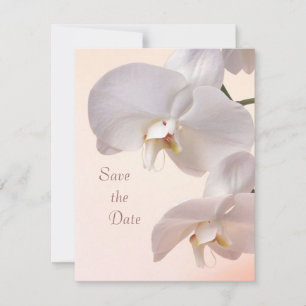 Witte crème orchideeën Save the Date