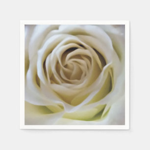 Witte crème roos close-up natuurlijke bloemknop de servet