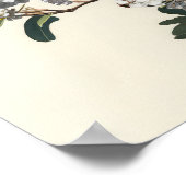 Witte Crêpe Myrtle Flowers Art Print Poster (Hoek)