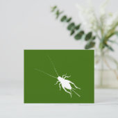 Witte cricket briefkaart (Staand voorkant)