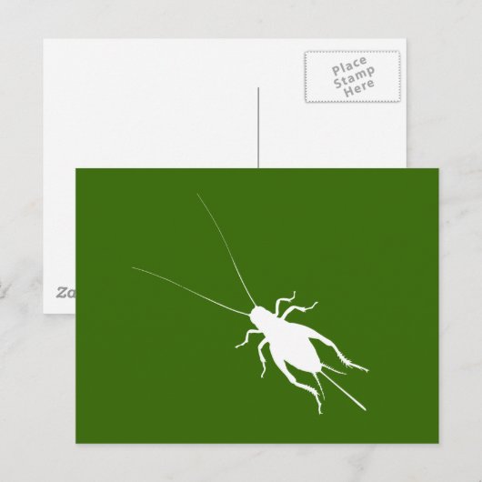 Witte cricket briefkaart (Voorkant / Achterkant)