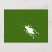 Witte cricket briefkaart (Voorkant)
