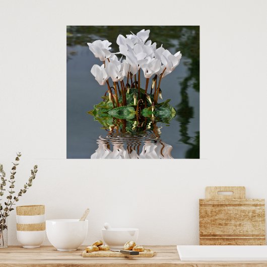 Witte cyclambloemen in het water poster (Keuken)