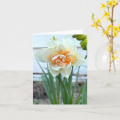 Witte Daffodil Bloem Foto Kaart (Gele Bloem)