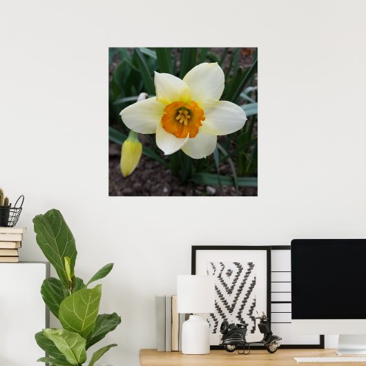 witte daffodil poster (Thuiskantoor)