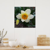 witte daffodil poster (Keuken)
