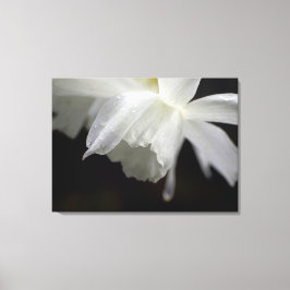 Witte Daffodils Bloemen Fotoprint Canvas Afdruk